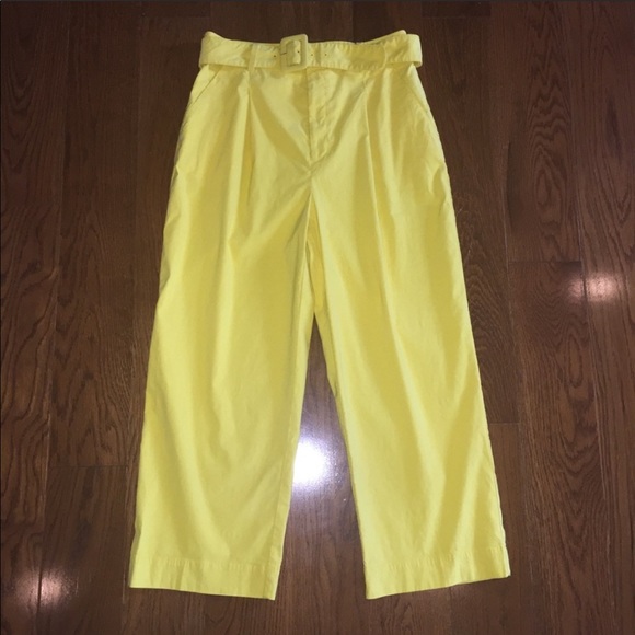 ANTHROPOLOGIE high waisted cropped belted pants - Picture 5 of 7